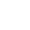 Person Giving Speech Icon